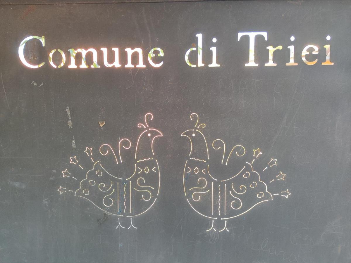 فيلا Sa Dommu 'E Su Coro Triei المظهر الخارجي الصورة